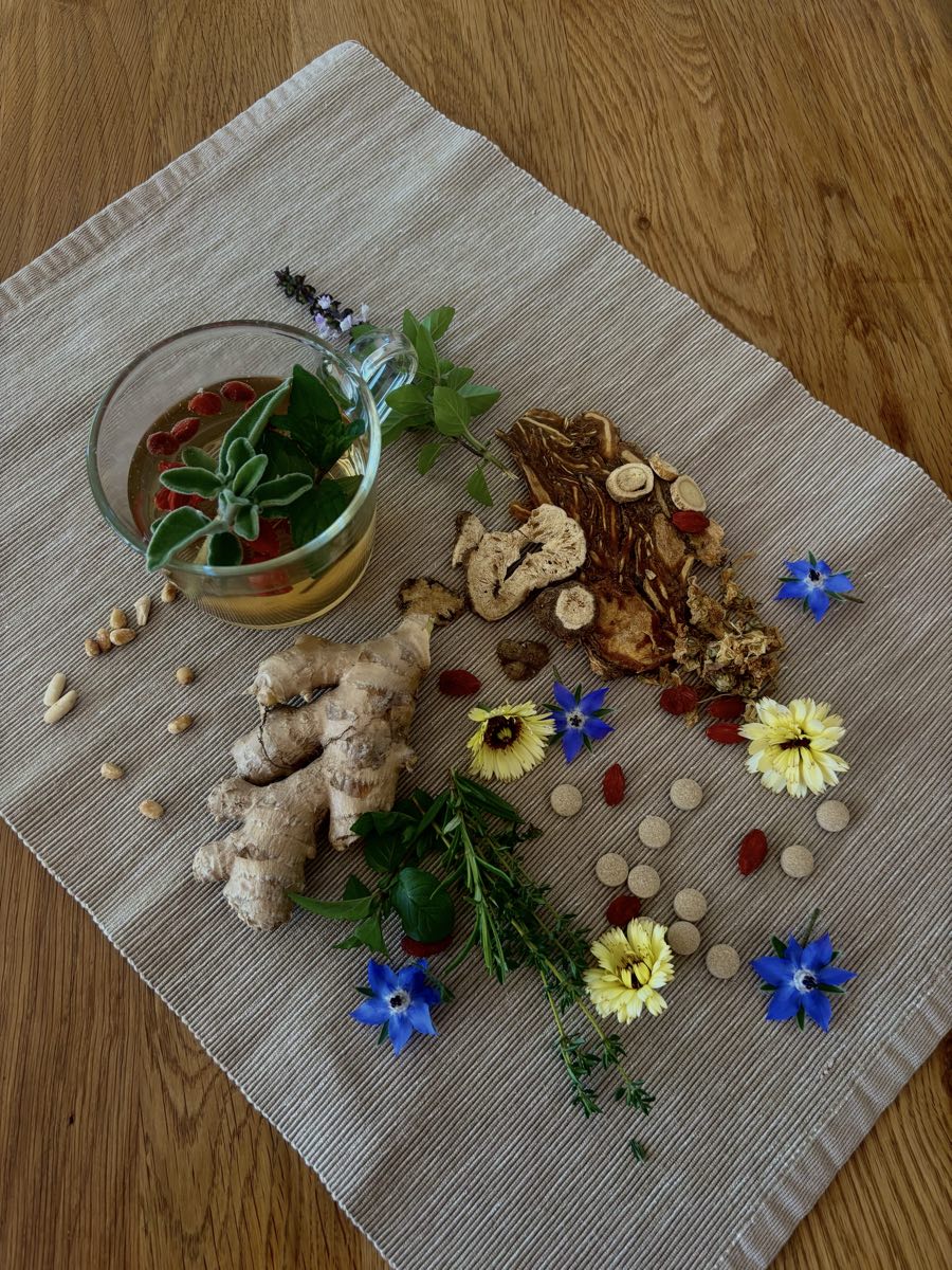 Kräuter und Zutaten auf einem Leinentuch ausgelegt: Ingwer, getrocknete Wurzeln, Thymian, Salbei, blaue und gelbe Blüten, Pinienkerne und ein Glas Tee mit Goji-Beeren